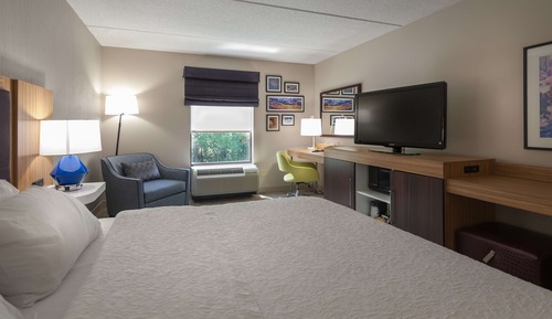 Chambre, 1 très grand lit, accessible aux personnes à mobilité réduite, baignoire