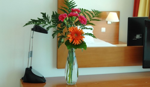 Chambre Standard Double ou avec lits jumeaux
