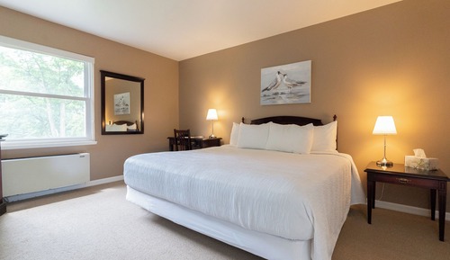Chambre Deluxe, 1 très grand lit, non-fumeurs, vue jardin
