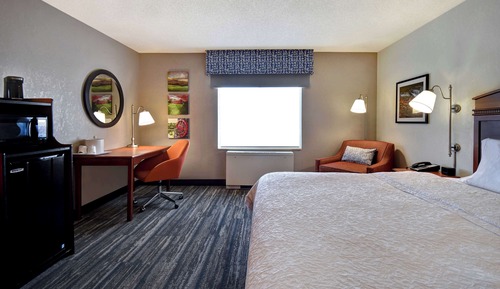 Chambre, 1 très grand lit (Mobility & Hearing, Roll-In Shower)