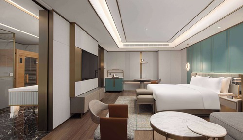 Chambre Affaires, 1 lit une place (Deluxe)
