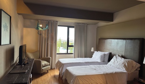Chambre, 2 lits une place, vue montagne (Concept)