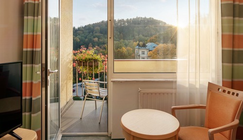 Chambre Double ou avec lits jumeaux (Wellness access)