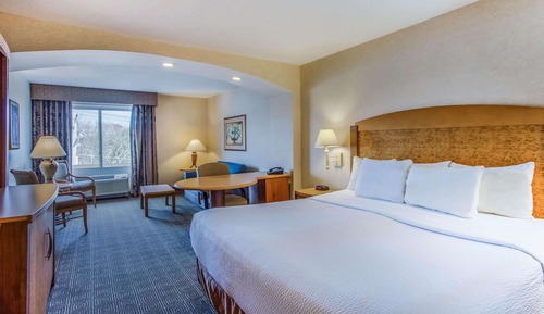 Chambre, 1 très grand lit, non-fumeurs (Mobility/Hearing Impaired Accessible)