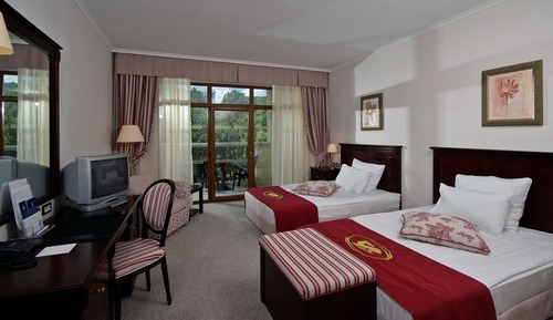 Chambre Classique, vue parc (Twin Beds)