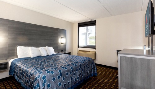 Chambre Deluxe, 1 très grand lit, non-fumeurs, réfrigérateur et four à micro-ondes