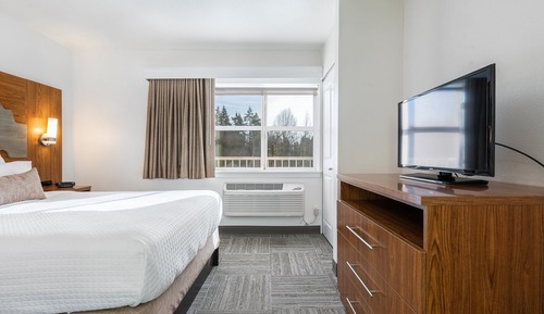 Suite Standard, 1 très grand lit et 1 canapé-lit