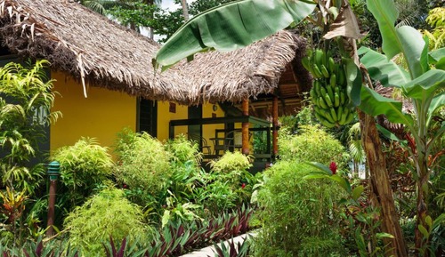 Bungalow, 1 chambre, vue jardin