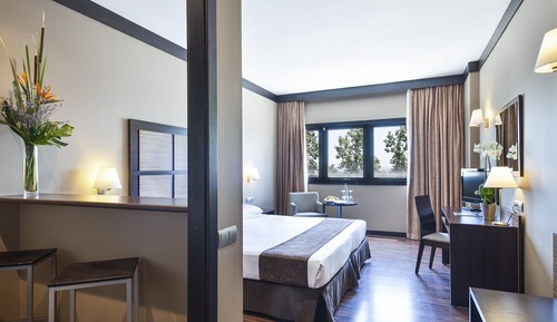 Chambre Double Standard