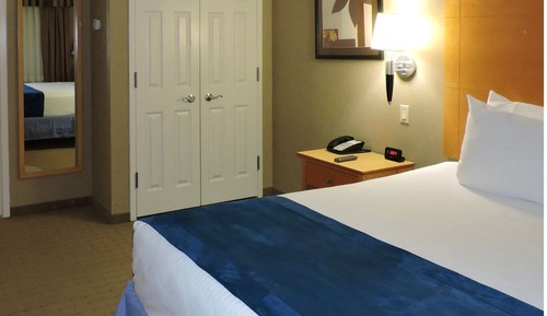 Suite Exécutive, 1 chambre