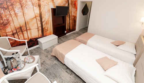Chambre Standard avec lits jumeaux