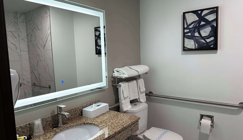 Chambre Standard, 1 grand lit, accessible aux personnes à mobilité réduite