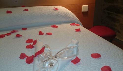 Chambre Double Standard