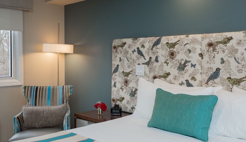 Suite, 1 chambre