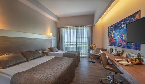 Deluxe City View Room With Balcony