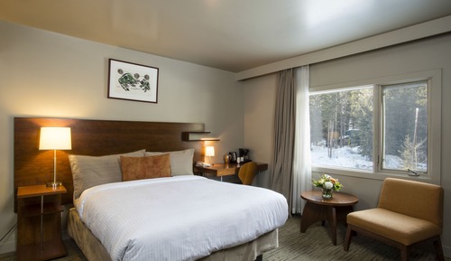 Chambre Standard, 1 très grand lit (Standard Woodland King)