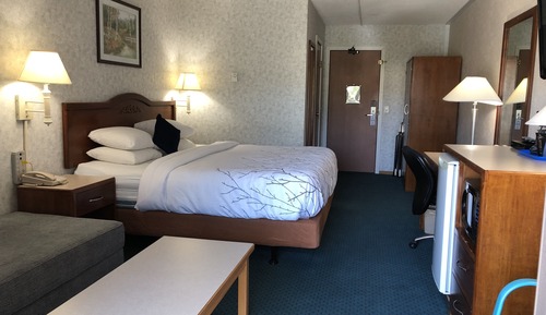 Chambre Deluxe, 1 très grand lit, non-fumeurs