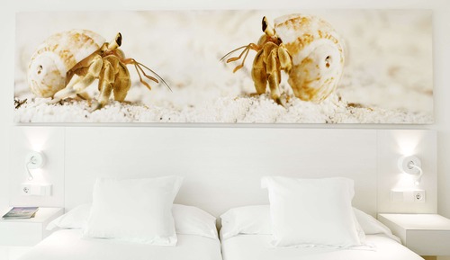 Chambre Familiale, balcon (2 Adults & 2 Children)