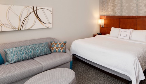 Chambre, 1 très grand lit et 1 canapé-lit (Mobility/Hearing Accessible, Tub)
