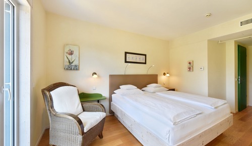 Chambre Confort, 1 très grand lit, vue jardin