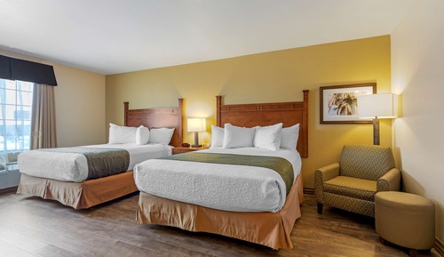Chambre Standard, 2 grands lits, non-fumeurs, four à micro-ondes (Pet Friendly)