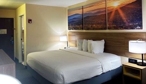 Chambre Standard, 1 très grand lit, non-fumeurs