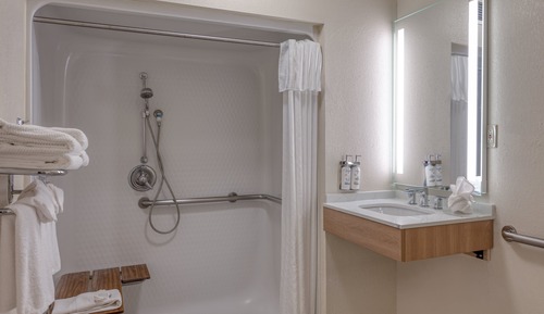 Suite, 1 chambre, accessible aux personnes à mobilité réduite, cuisine (Roll-In Shower)