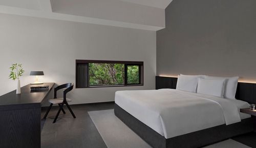 Suite, 1 très grand lit (Commune)