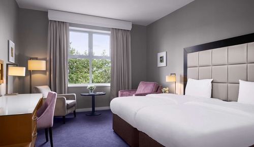 Chambre Standard, vue montagne