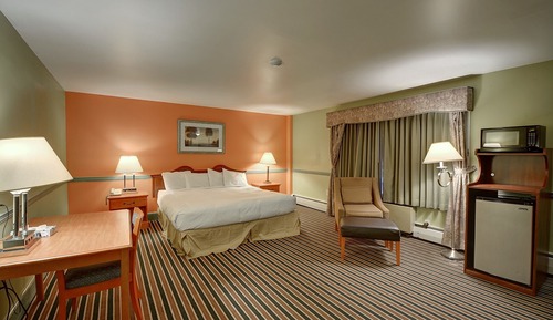 Chambre Simple Deluxe, 1 très grand lit