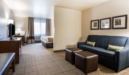 Suite, 1 très grand lit, accessible aux personnes à mobilité réduite, non-fumeurs