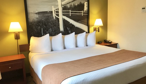 Suite Junior, 1 chambre, non-fumeurs (1 King Bed)