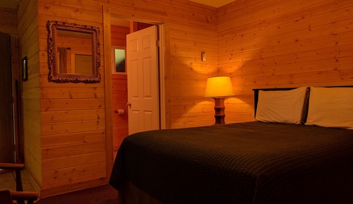 Chambre Familiale, plusieurs lits, vue jardin (pets allowed)
