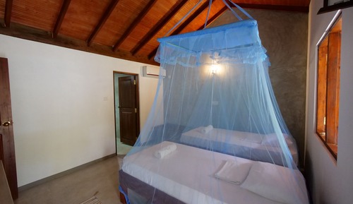 Chambre Confort Double ou avec lits jumeaux, 2 lits une place, vue piscine