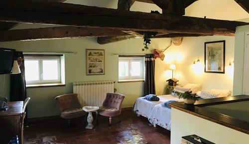 Chambre Supérieure Double ou avec lits jumeaux, salle de bains attenante, vue piscine (Jade)