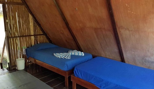 Dortoir Partagé Économique, dortoir mixte, salle de bains commune (4 Single Beds)