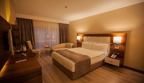 Chambre Standard Double ou avec lits jumeaux, 1 grand lit