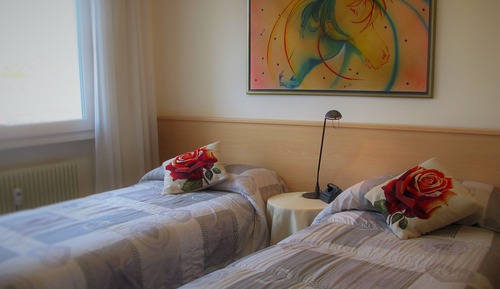 Chambre Tradition Double ou avec lits jumeaux, vue montagne