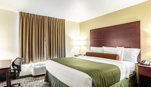 Suite Studio, 1 très grand lit et 1 canapé-lit, non-fumeurs