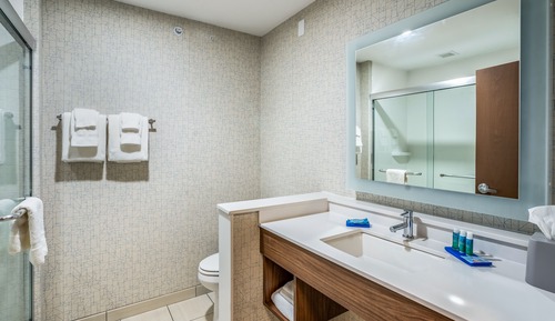 Chambre Standard, 1 très grand lit (Mobility, Transfer Shower)