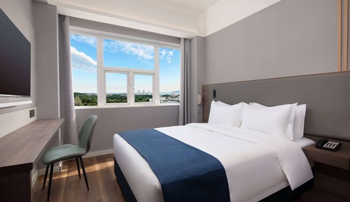 Chambre, 1 grand lit, non-fumeurs