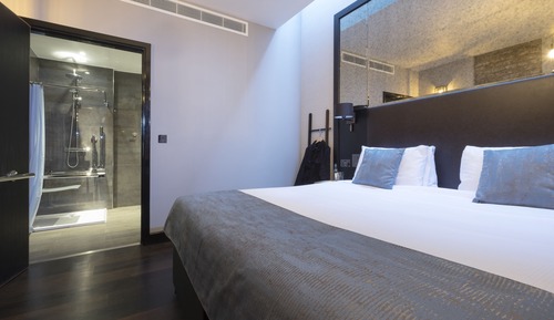 Chambre Supérieure Double ou avec lits jumeaux, 1 chambre