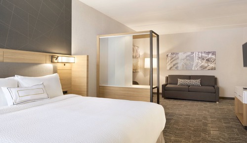Suite, 1 très grand lit et 1 canapé-lit (Hearing Accessible)