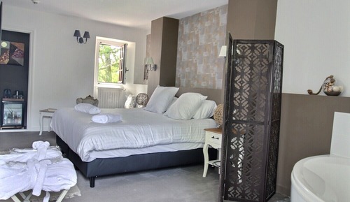 Chambre Deluxe, 1 très grand lit, vue parc