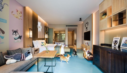 Chambre Standard, 1 très grand lit, animaux de compagnie acceptés