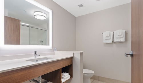 Chambre Standard, 1 très grand lit (Comm, Mobility, Roll-In Shower)
