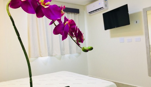 Chambre Double pour 1 personne, 1 grand lit