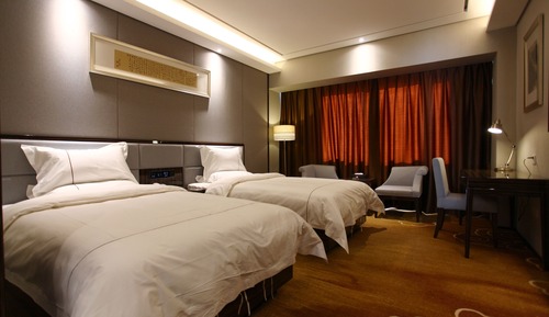 Chambre Affaires avec lits jumeaux