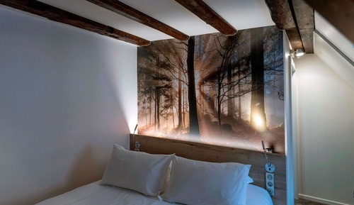 Chambre Standard, 1 lit double, non-fumeurs