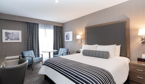 Chambre Standard, 1 très grand lit